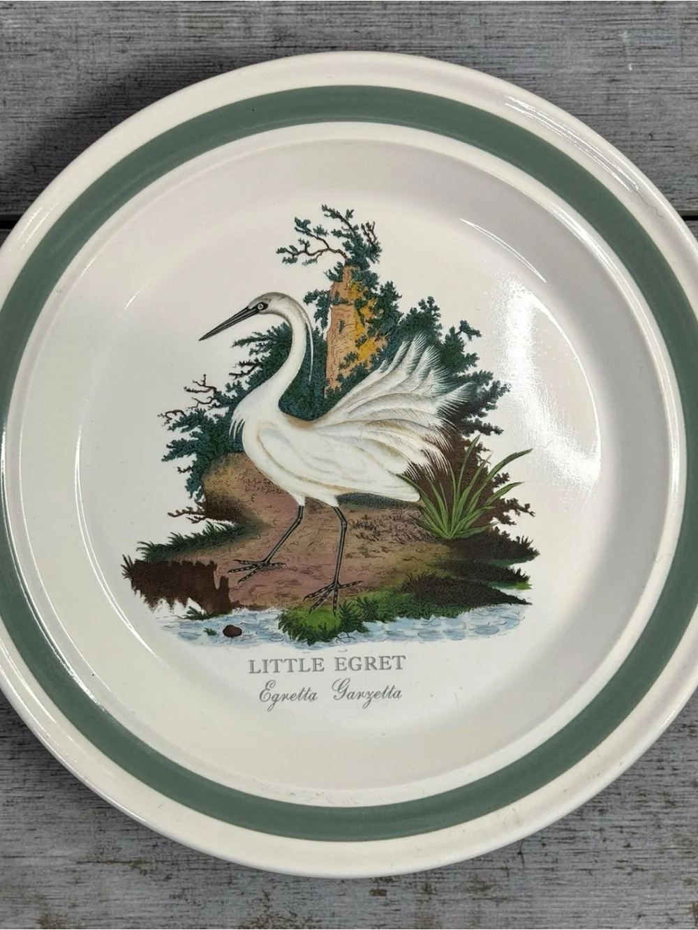 Vintage Portmeirion Birds of Britain 11” Plates Set of 6 Green Band 1978